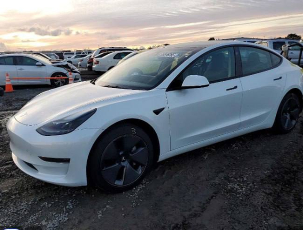 TESLA MODEL 3  2022